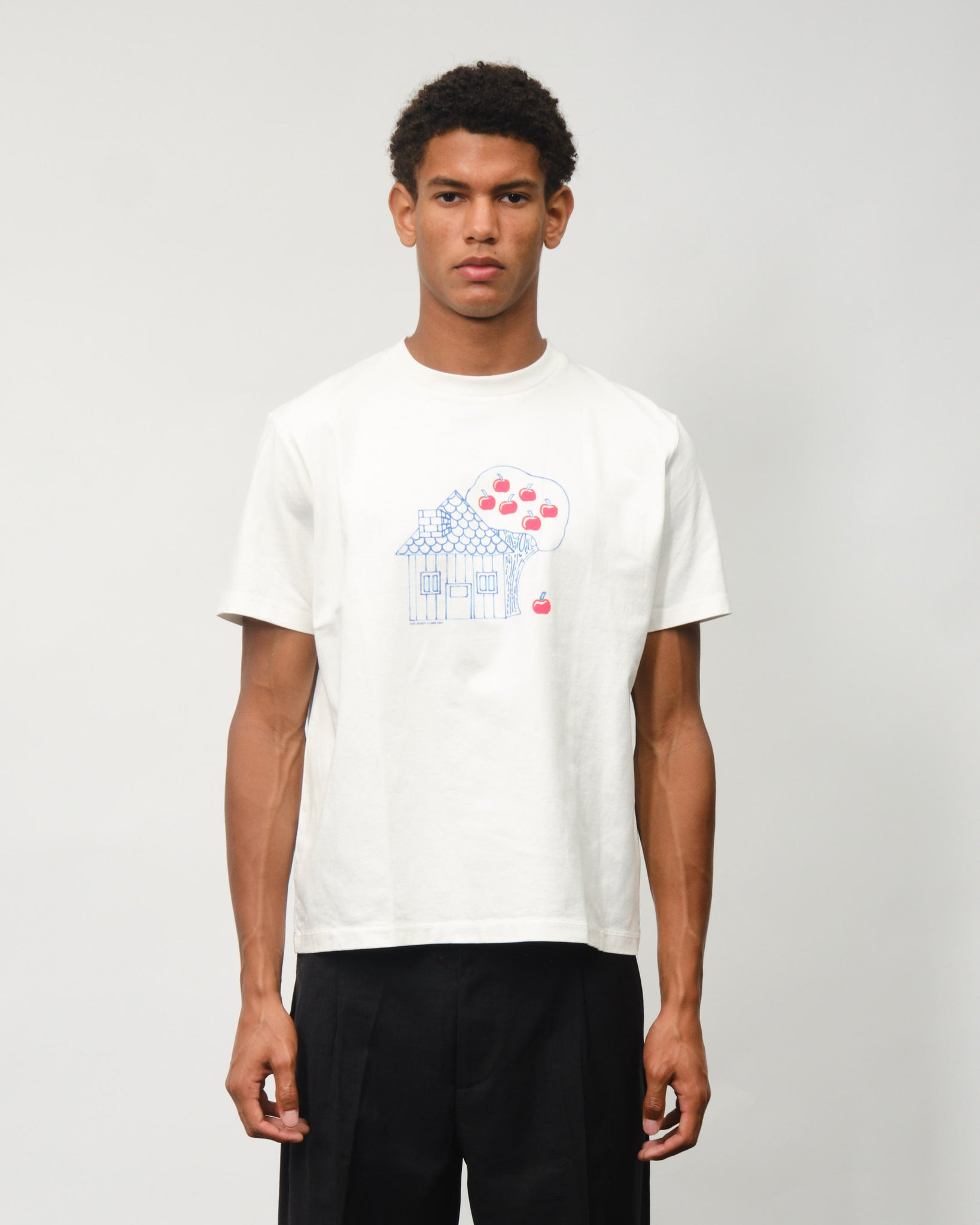 Box T-shirt - Casa Print