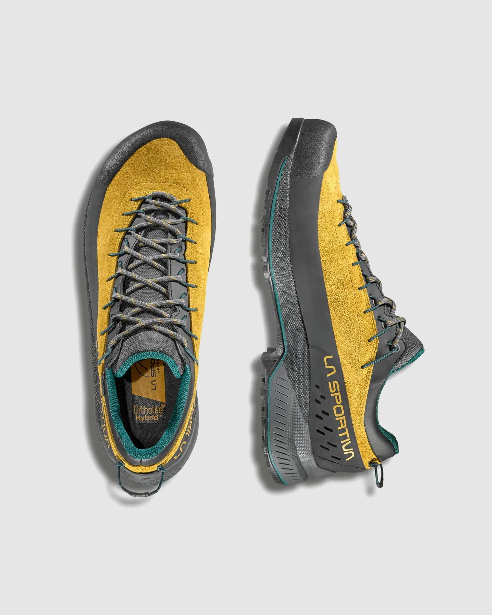 TX4 Evo GTX - Savana/Jungle