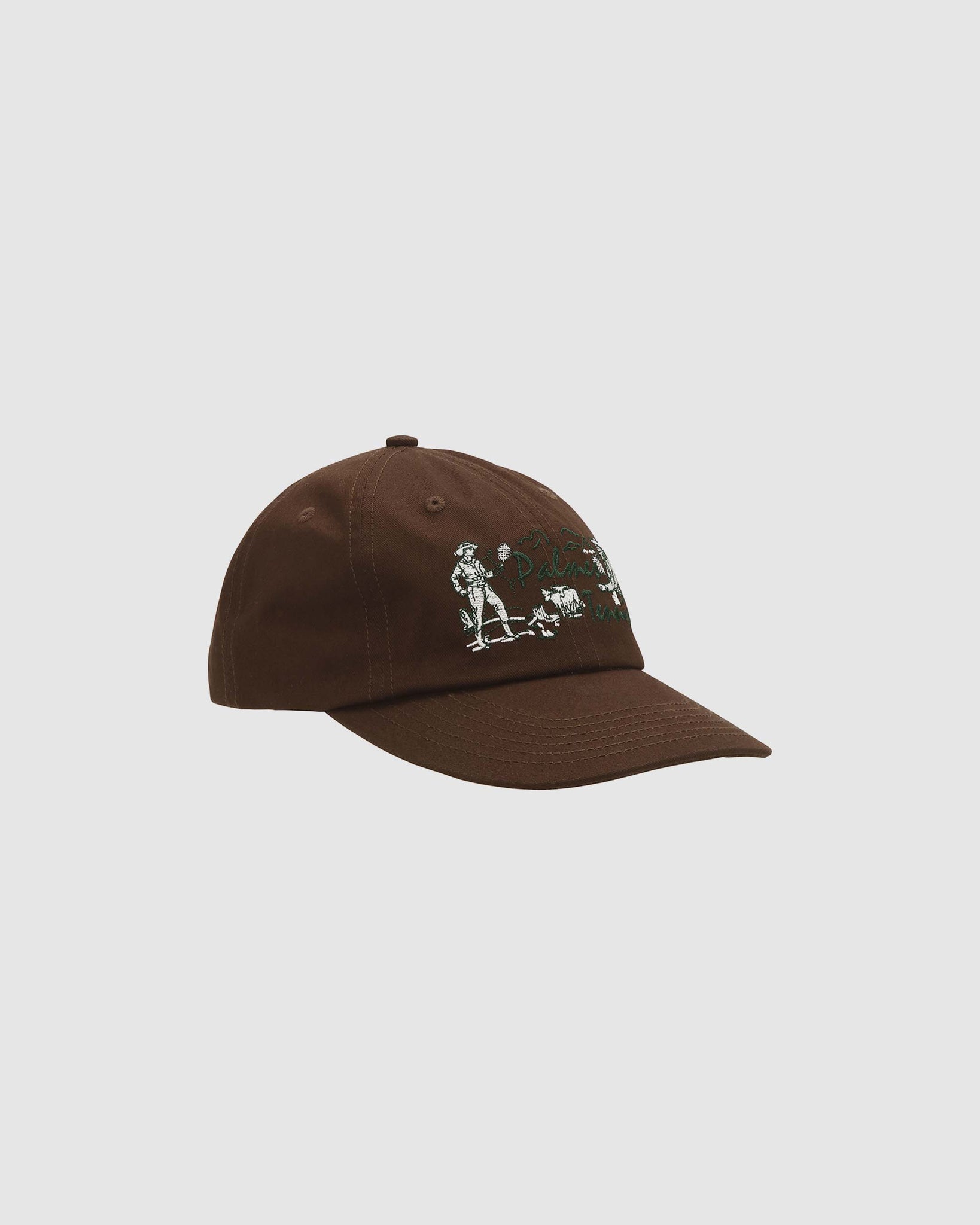 Dustup 6 Panel Cap - Brown