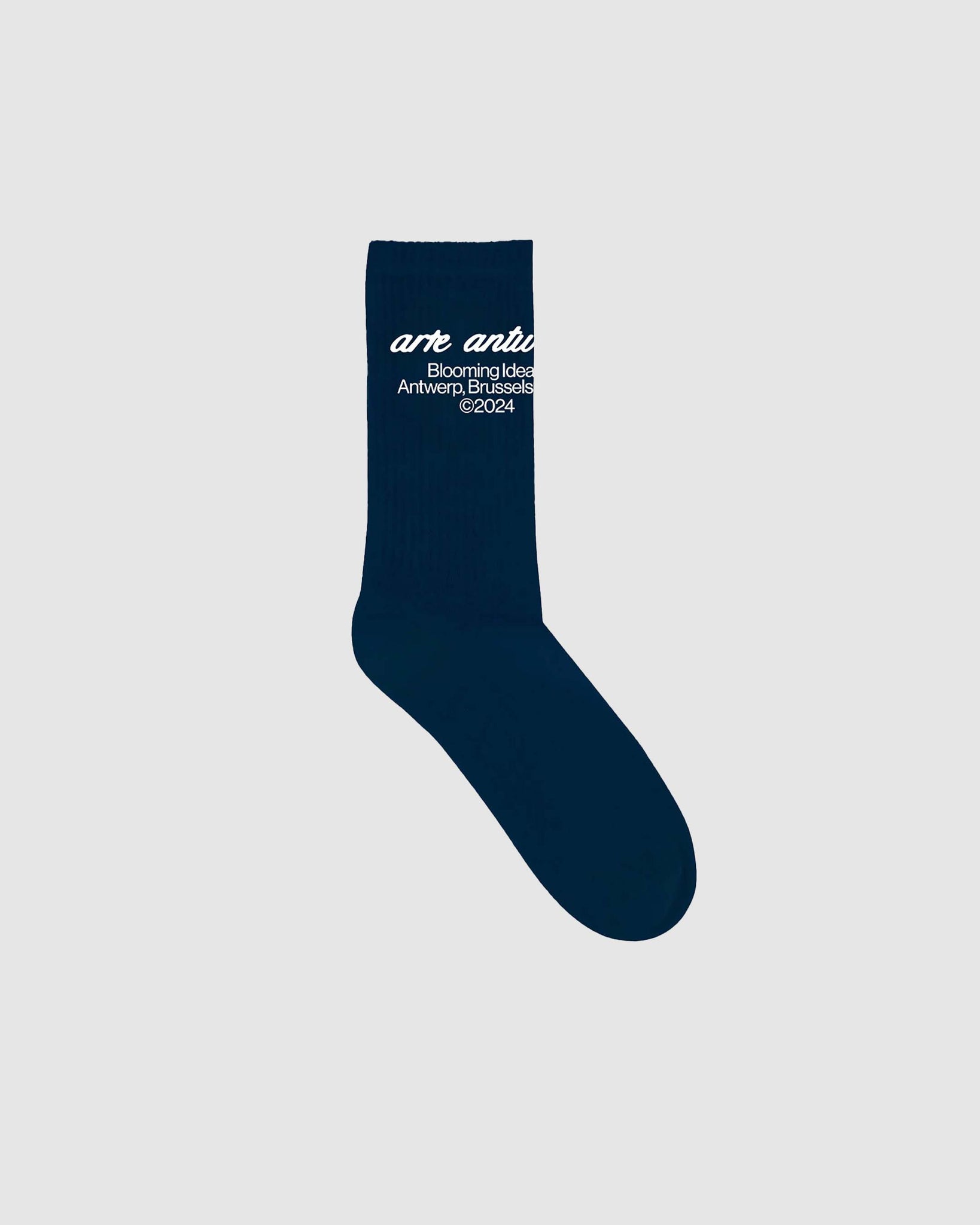 Arte Antwerp Socks - Navy