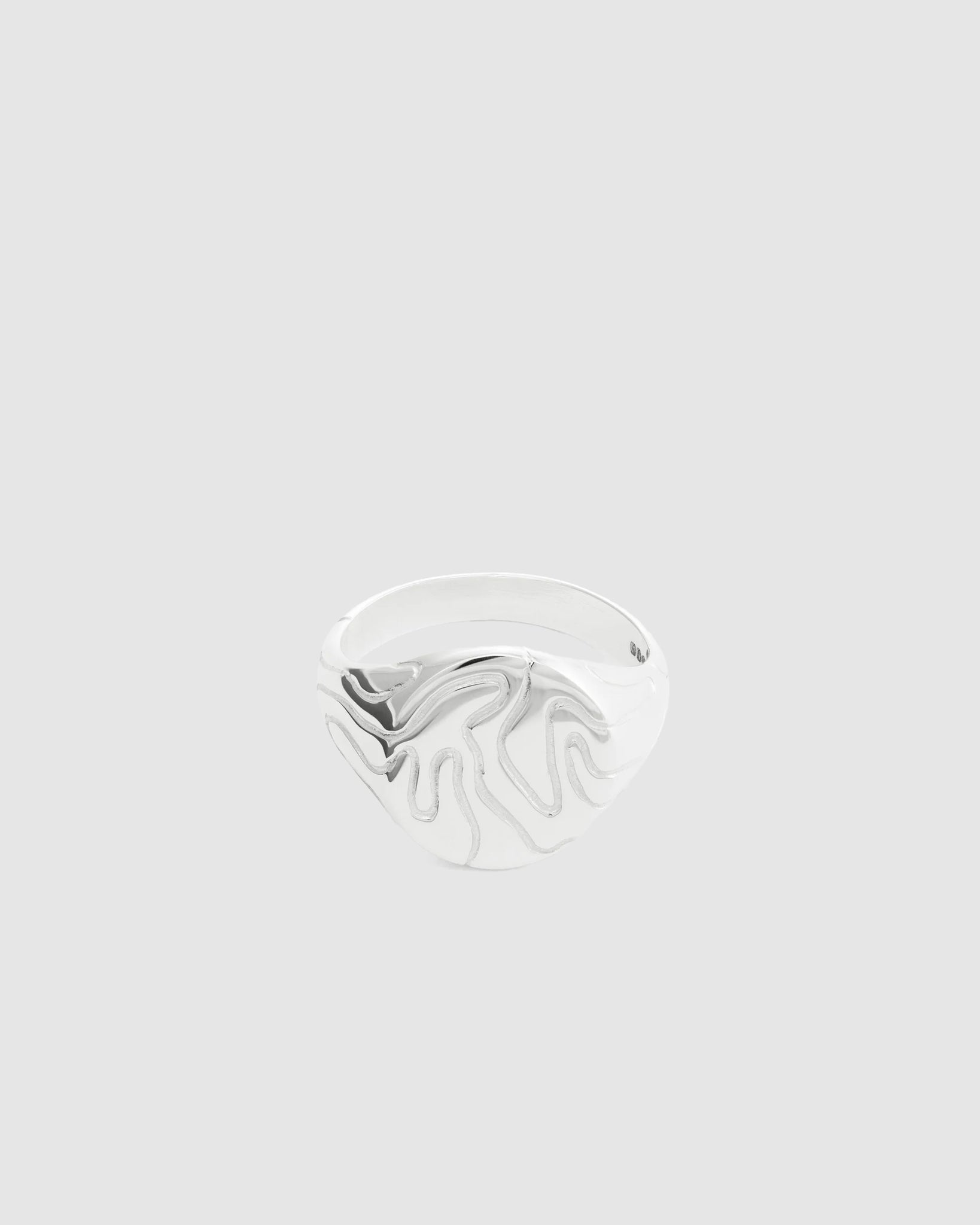 Globe Signet Ring - 925 Silver