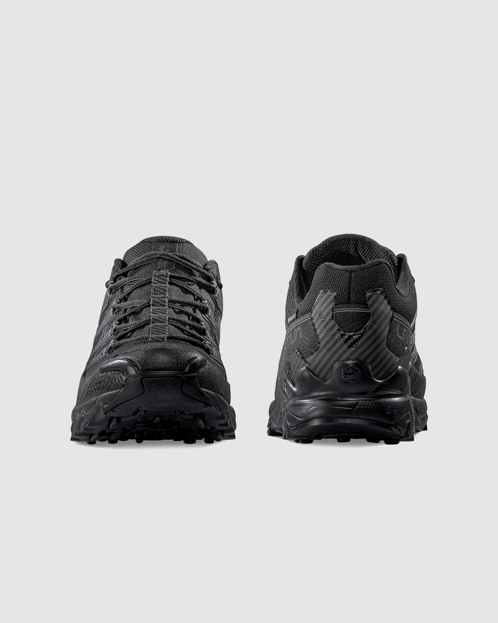 Ultra Raptor II GTX - Black/Reflective